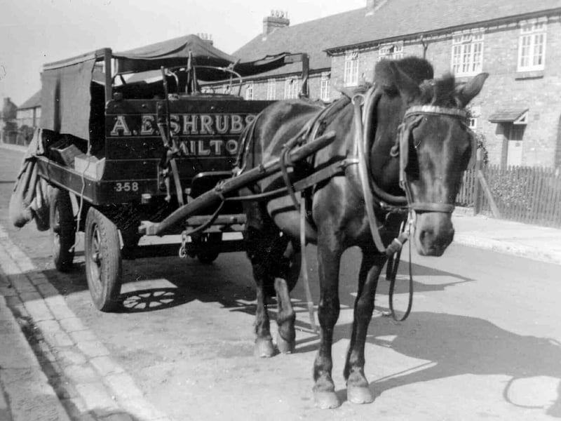 Ted Shrubsole's fruit and veg cart in Crofton Road

We see in Crofton Road, Milton the horse and cart belonging to Arthur Edward Shrubsole. (Ted).
He  used to deliver all around the Milton area between 1935-55. Mrs Doreen Watts who loaned the photo remembers the horse walking along the street and stopping at each customers house. He knew the round better than Ted it seems.
Unfortunately Ted had an illness and he used to walk doubled up, but it never stopped him working.