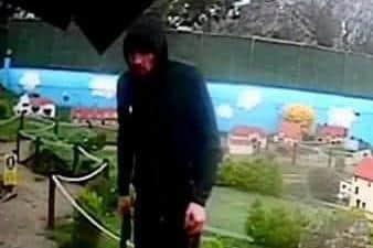 CCTV footage of the yob who broke into Southsea Model Village and attacked the site's resident cat, Rooney, before causing minor damage to the attraction.