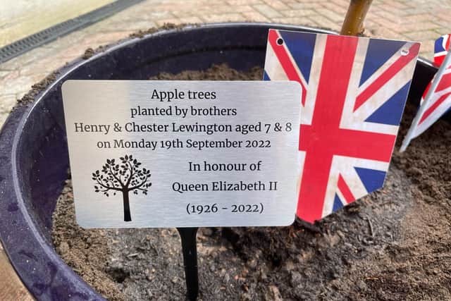 Henry and Chester Lewington have planted apple trees in honour of the Queen