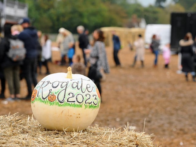 The fantastic patch made a return - with families flocking to the event
Picture: Sarah Standing (251023-2165)
