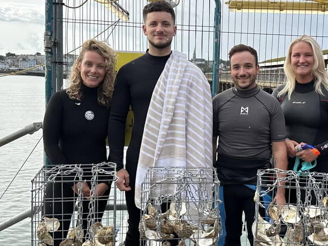 From left - Kristy Johnson, Benjamin Hazell, Georgios Georgiou and Abby Easton prepare to install the BioHuts