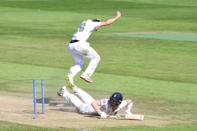 James Fuller celebrates running out Liam Norwel. Photo by Tony Marshall/Getty Images.