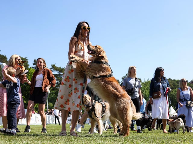 Guests at Goodwoof 2024. Picture: Matt Alexander/PA Media Assignments