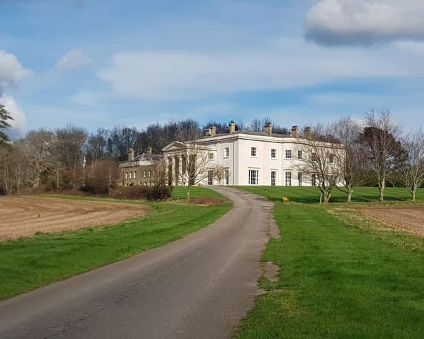 Southern Nature Art Exhibition returns to Rookesbury Park, Wickham.