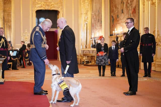 Stamp licks the King's hand while Ben Good receives his MBE. Picture: Yui Mok / PA