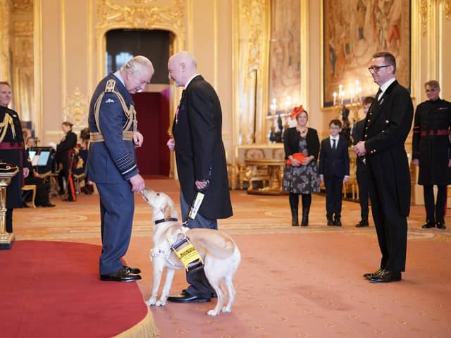 Stamp licks the King's hand while Ben Good receives his MBE. Picture: Yui Mok / PA