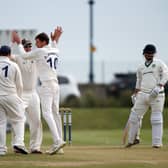 Portsmouth celebrate Josh Hill's dismissal. Picture: Chris Moorhouse