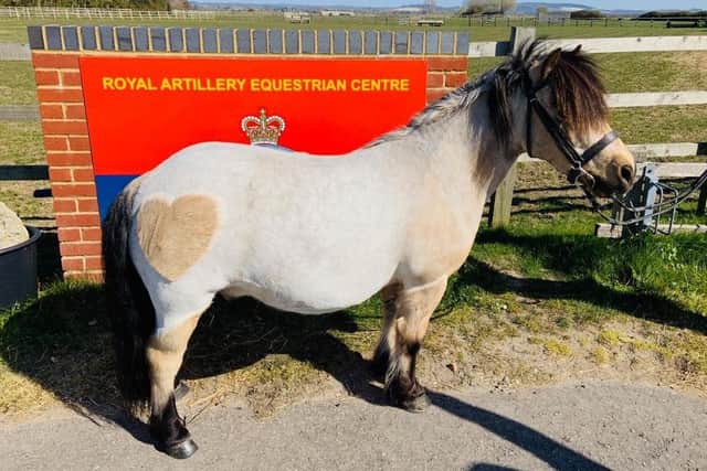 Lola Dymock, 13, wanted to say thank you to the NHS and so had the letters shaved into the side of her horse Kenco, with a love heart