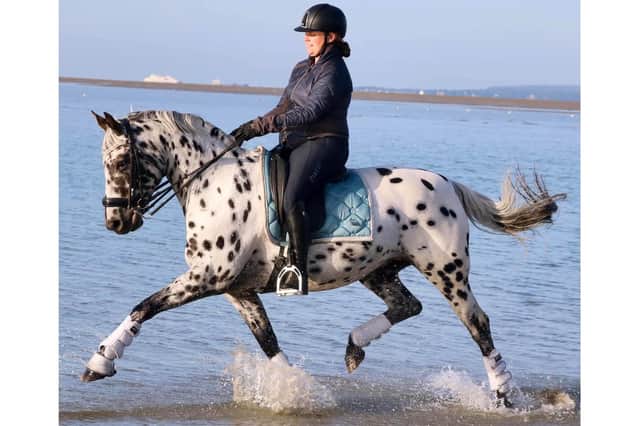 Vicki Humphreys, 38, rides her horse Dottie, a 12-year-old Knabstrupper at Hayling Island beach.