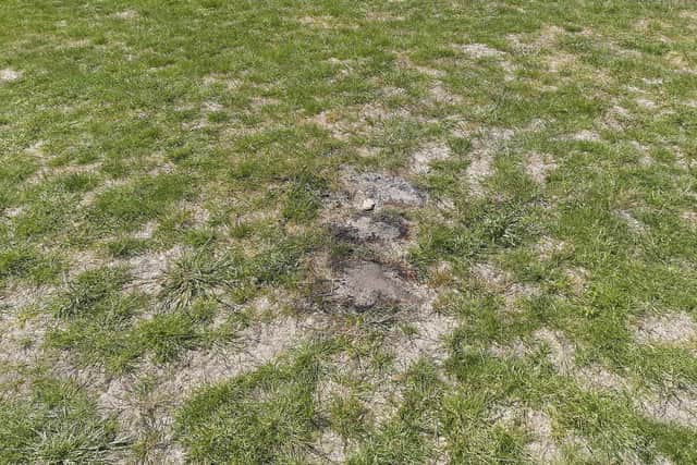Another photograph taken by Nick, appearing to show burnt grass from a barbecue at the site.