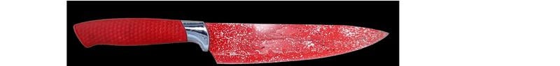 The 7in knife used to murder Levi Kent that was dumped on the Bridgemary Medical Centre roof