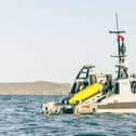 The new robot set to replace the navy's fleet of glass-hulled minehunters