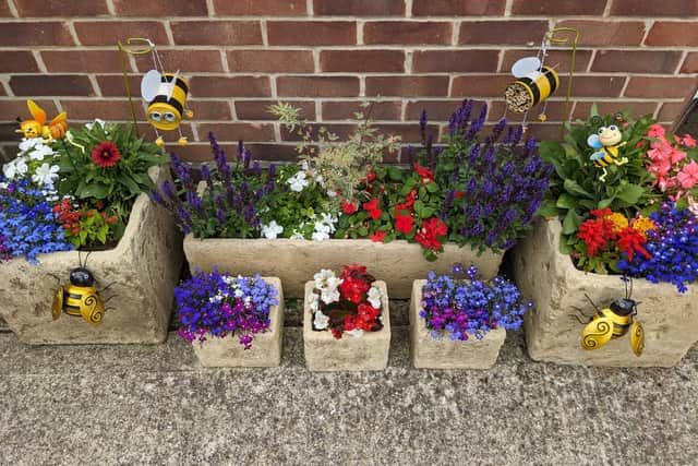 Winner - Young Green Fingers: Oliver and Isabella Rae
