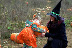 There are many pumpkin patches in Hampshire that will be open throughout October.