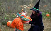 There are many pumpkin patches in Hampshire that will be open throughout October.
