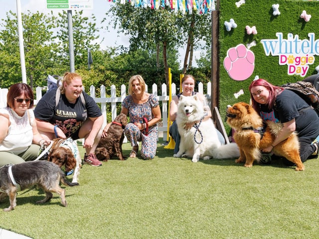 Whiteley Doggie Day proved popular with the crowds. Picture:Marcin Jedrysiak