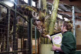 Marwell zoo. Andrew Matthews/PA Wire