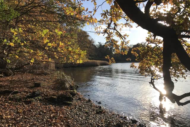 River Hamble. Picture: Andrew Gregory