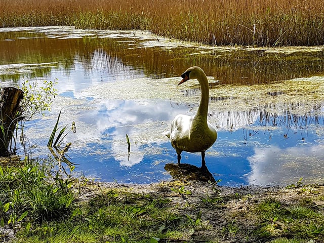 Solitary Pleasure by Sue Robb, taken at Hilsea Lido