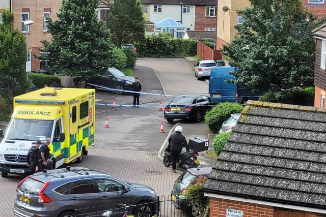 Emergency services in East Shore Way. Picture: Priya Franklin