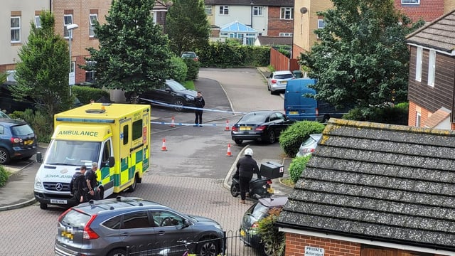 Emergency services in East Shore Way. Picture: Priya Franklin