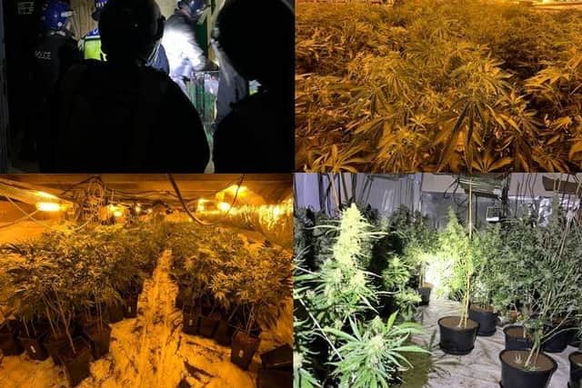 Hampshire and Isle of Wight Constabulary discover large cannabis factory in Winchester city centre.