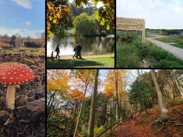Just some of our favourite walks