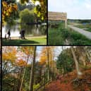 Just some of our favourite walks