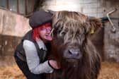 Dumble Farm owner Fiona Wilson is no stranger to cows and is delighted with the success of her 'cuddle a cow' experience which is drawing in new visitors.

