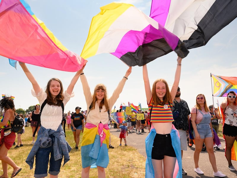 Pictured is: Three girls attending the event wave their flags.
Picture: Keith Woodland