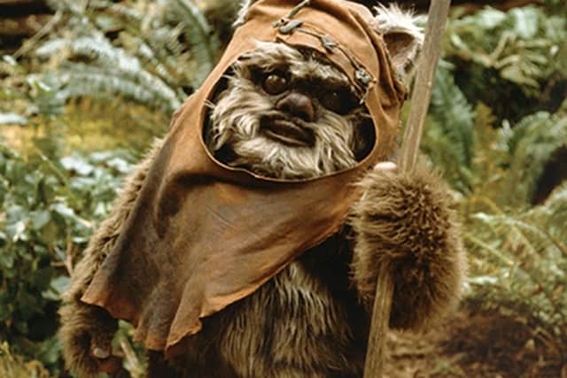 Star Wars character Wicket the Ewok portrayed by Warwick Davis in the 1983 film Return of the Jedi.