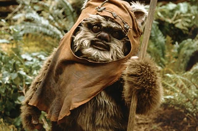 Star Wars character Wicket the Ewok portrayed by Warwick Davis in the 1983 film Return of the Jedi.