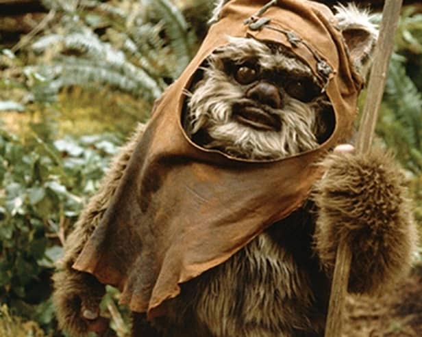 Star Wars character Wicket the Ewok portrayed by Warwick Davis in the 1983 film Return of the Jedi.