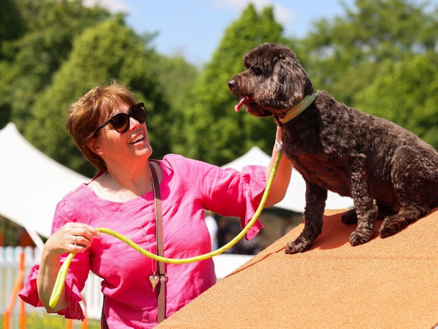 Guests at Goodwoof 2024, a dog event held at Goodwood Estate in Chichester. Picture: Matt Alexander/PA Media Assignments