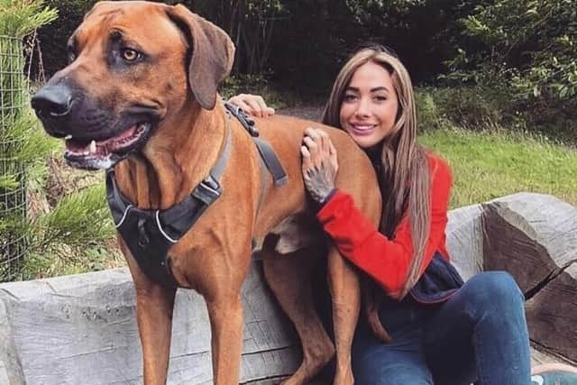 A fundraising campaign has been launched by Leah Mabey for her beloved dog Roger, the three year old Rhodesian ridgeback, who needs chemotherapy