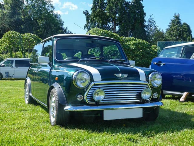 Mini at National Mini Day