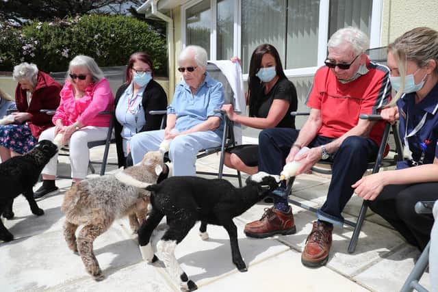 The Warren Residential Lodge in Lee-on-the-Solent now has four lambs on-site, which the residents can help feed and cuddle.
Picture: Stuart Martin (220421-7042)