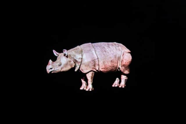 Hologram of rhino at Twycross Zoo. Picture: University of Portsmouth.