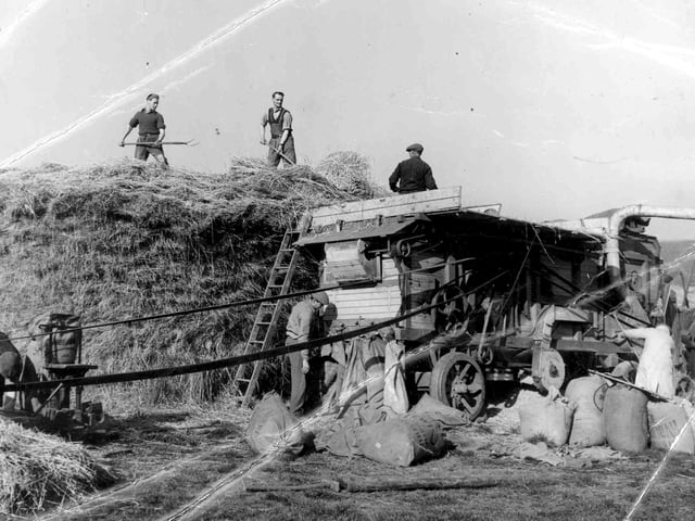 A scene at Mason Farm, Old Bedhampton and the laborious work farming entailed in those times can be seen. Some of those pictured are Brian Long, top left with pitchfork who sent in the photo and Tom Knight and Richard Mason. Picture: Courtesy of Brian Long