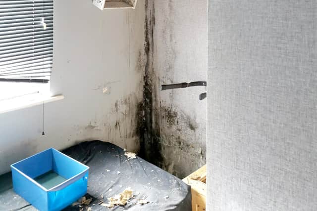Flooding has ruined Michelle Hayman's flat, landlord refusing to help.