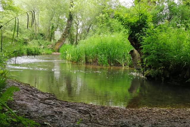 One of the views Becca Chamberlain saw on her pilgrimage: the River Meon near Wickham Picture: Courtesy of Church of England Diocese of Portsmouth