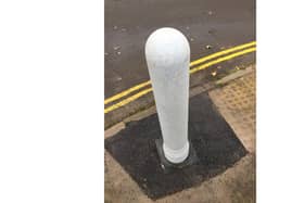 Here's what the new plant-based bollards will look like. Picture: Hampshire County Council