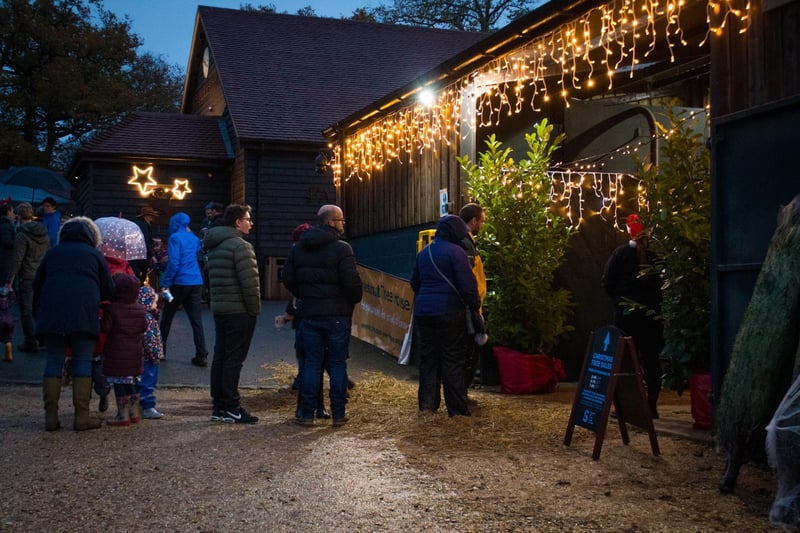 This fantastic working deer farm in West Harting near Petersfield is a great place to visit to see and feed the deer, as well as visit a fantastic farm shop, restaurant and cafe. There are also reindeer to visit during the festive period which you can visit after December 3 when its lights switch-on event takes place with rides, shows, carols, Christmas trees for sale.
