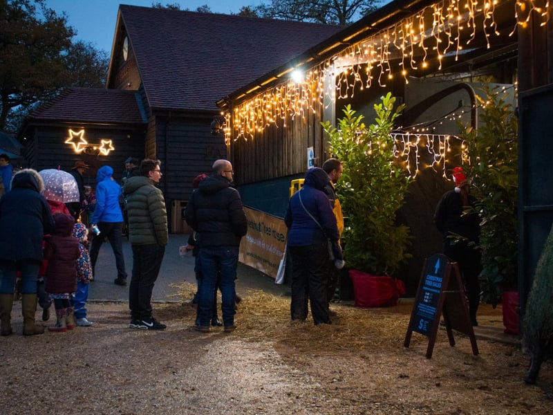 This fantastic working deer farm in West Harting near Petersfield is a great place to visit to see and feed the deer, as well as visit a fantastic farm shop, restaurant and cafe. There are also reindeer to visit during the festive period which you can visit after December 3 when its lights switch-on event takes place with rides, shows, carols, Christmas trees for sale.