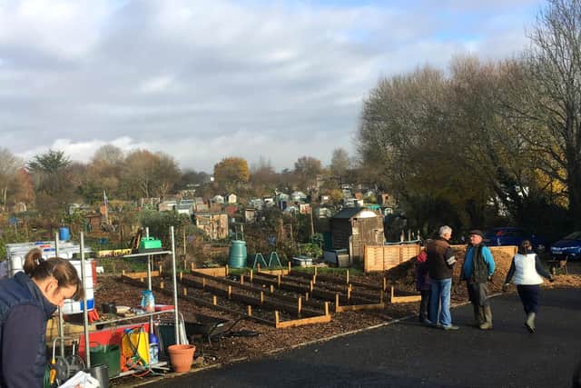 The Wickham Road allotments, before social distancing came into force. Picture: Steve Lucas