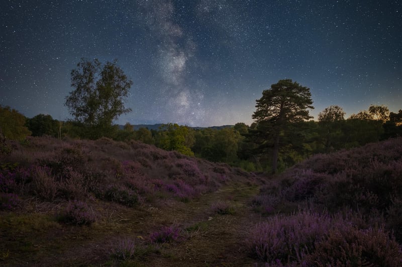 Heather and Milky Way by Carl Gough