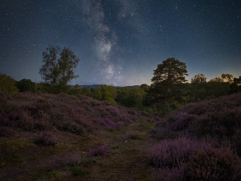 Heather and Milky Way by Carl Gough