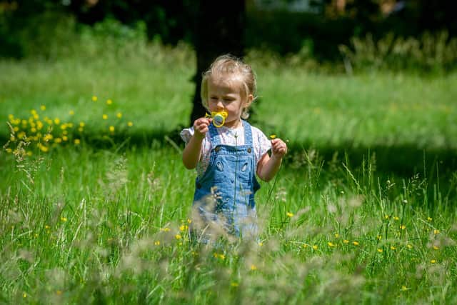 Ruby Allison, three, whose dad George was murdered last year, pictured playing in a field as her family paid tribute to her late father.

Picture: Habibur Rahman