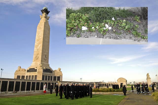 A remembrance service at the naval war memorial on Southsea Common and inset, toilet paper littering the monument 
Main picture: Malcolm Wells