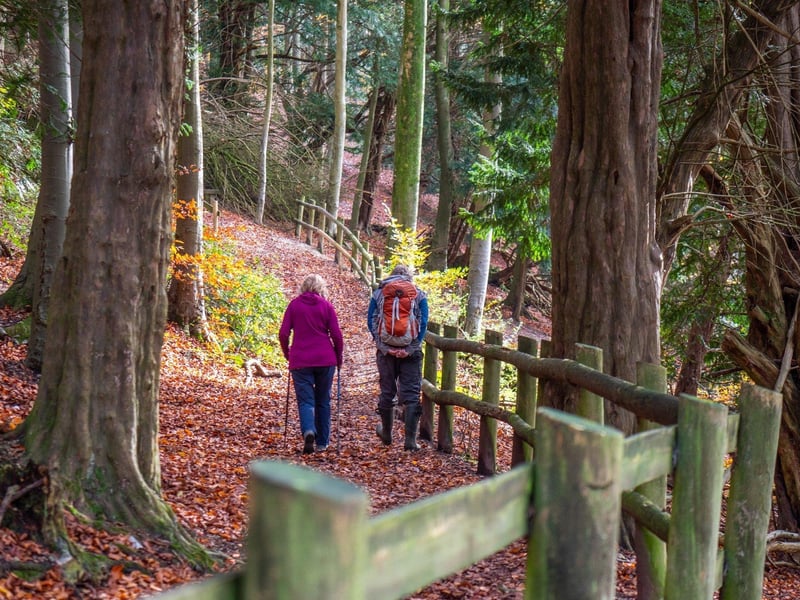 Queen Elizabeth Country Park, near Clanfield, is a large public green space in the South Downs National Park.
Picture: SDNPA